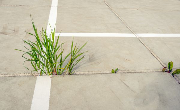 Concrete Parking Installation in Palm Springs